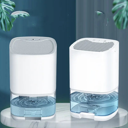 Best Home Dehumidifier