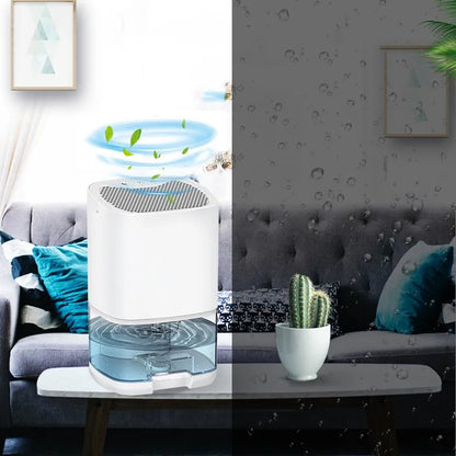 Best Home Dehumidifier