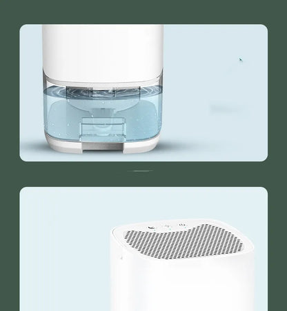 Best Home Dehumidifier